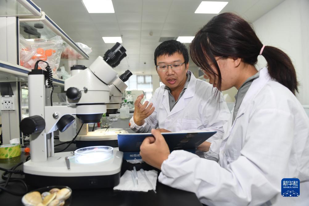 新永利电子